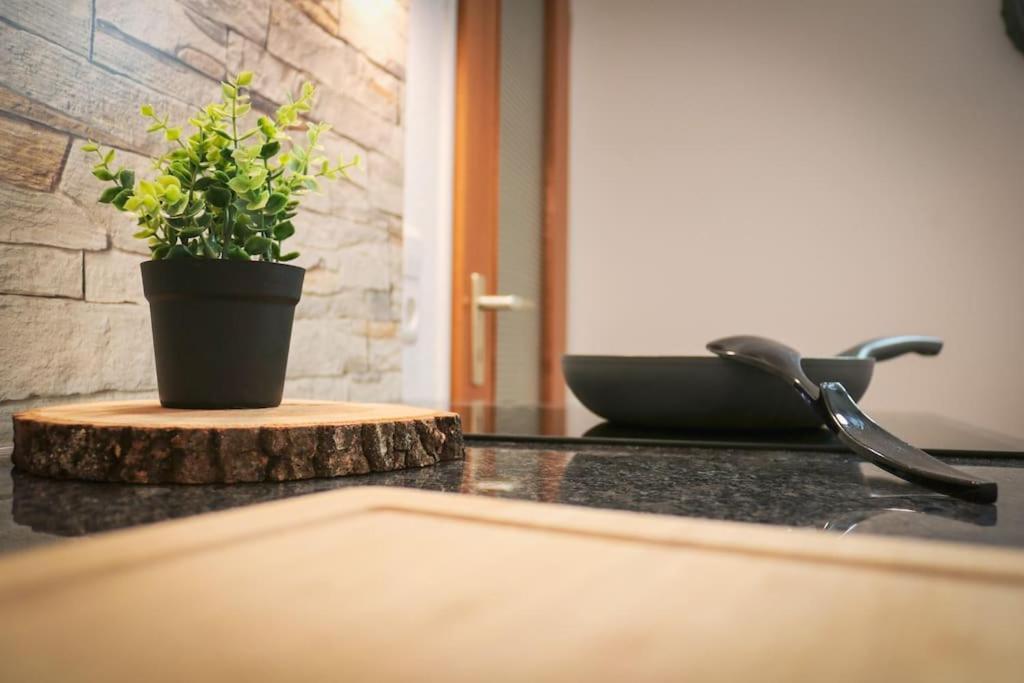 Apartement Nathalie - Wellness Mit Pool Und Sauna Шлухзее Экстерьер фото